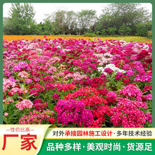 ����ʯ��N�Ӿ��^����ͥԺ�Nֲ��ͥ�@ˇ�û��N��ʯ��N��