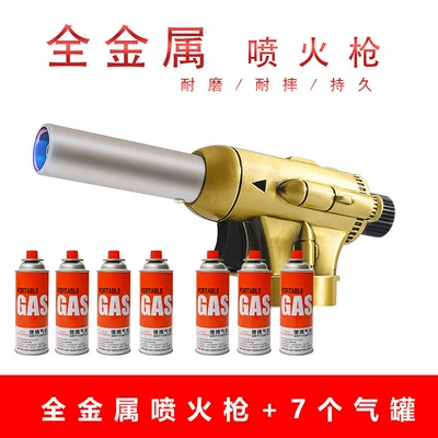 torch, igniter, torch head — Alovlandırıcı (Vozduşka/İqniter) - all-metal-spray-gun-7-gas-bottles-can-be-inverted-electronic-ignition