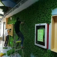 ֲϼٲƺ̨҃ڒGֲ󱳾GT^