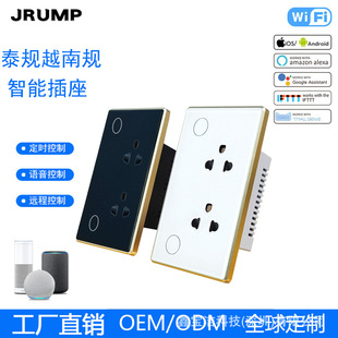 Thai and Vietnamese Standard Wall-Mounted Smart Dual Socket Wifi Voice Control Touch Access Smart Voice Control