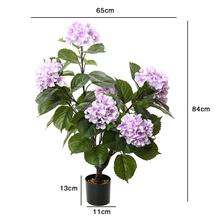 ���潑��������辰PE���|�͏d��d���h�d�b��滨���������