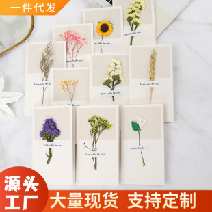 �M���Ǹɻ��R��������Ϧ����Ƭ���﹝Ů���R���Ϳ͑������R����