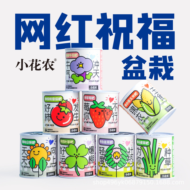 Internet Celebrity Blessing Potted Green Plants Manufacturer Wholesale New Small Flower Farmer Fun Blessings Planting Desktop Ornaments