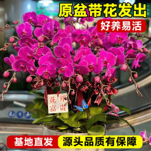 mԎƷm󻨶_͏d҃ȾGֲܺB