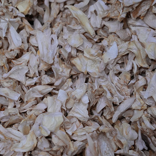 ���U����5g�ɹ����������U��Ƭ�w�����U����ʳ���Ҝ��ϰ��W��