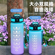 �羳��y̫�ձ���ˤ����800600ml�u׃���ܹ��z�S�֏��w�\��ˮ��