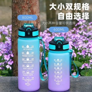 �羳��y̫�ձ���ˤ����800600ml�u׃���ܹ��z�S�֏��w�\��ˮ��