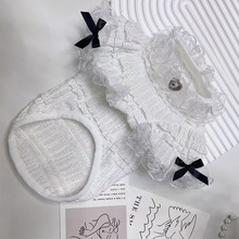 宠物猫咪衣服狗狗蕾丝打底衫短袖夏款马尔济斯宠物衣服夏季公主风