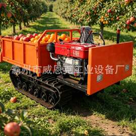 HT-30 重载 3 吨履带运输车 基建工地土石方重载转运履带机械