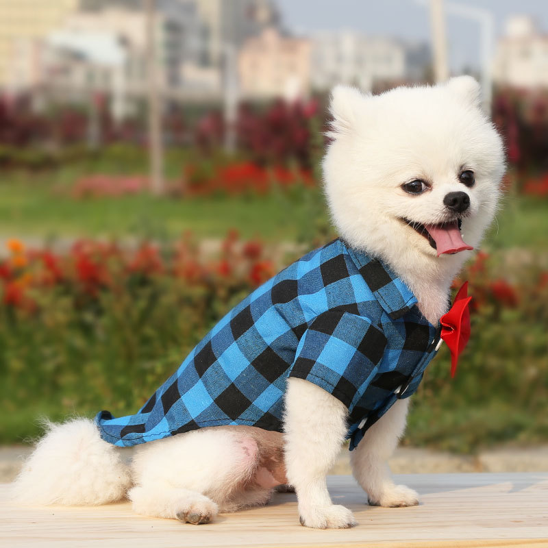 Casual Polyester Plaid Bow Knot Pet Toys display picture 3