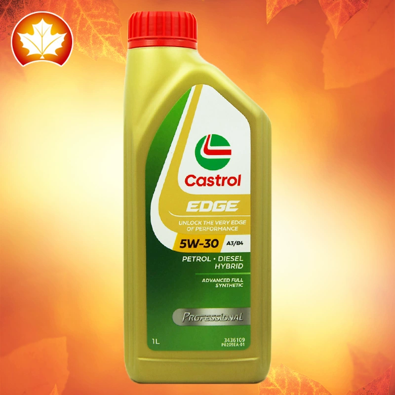 Castrol моторное масло Horse Edition эксклюзивный 5W-30 1 литр импортного полностью синтетического автомобильного двигателя смазки