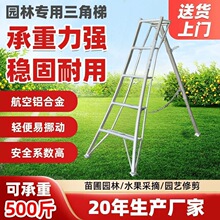 �@�����ǹ��@�����ժ�޼�@ˇ�X�Ͻ��������_�����ۯB�G��ժ