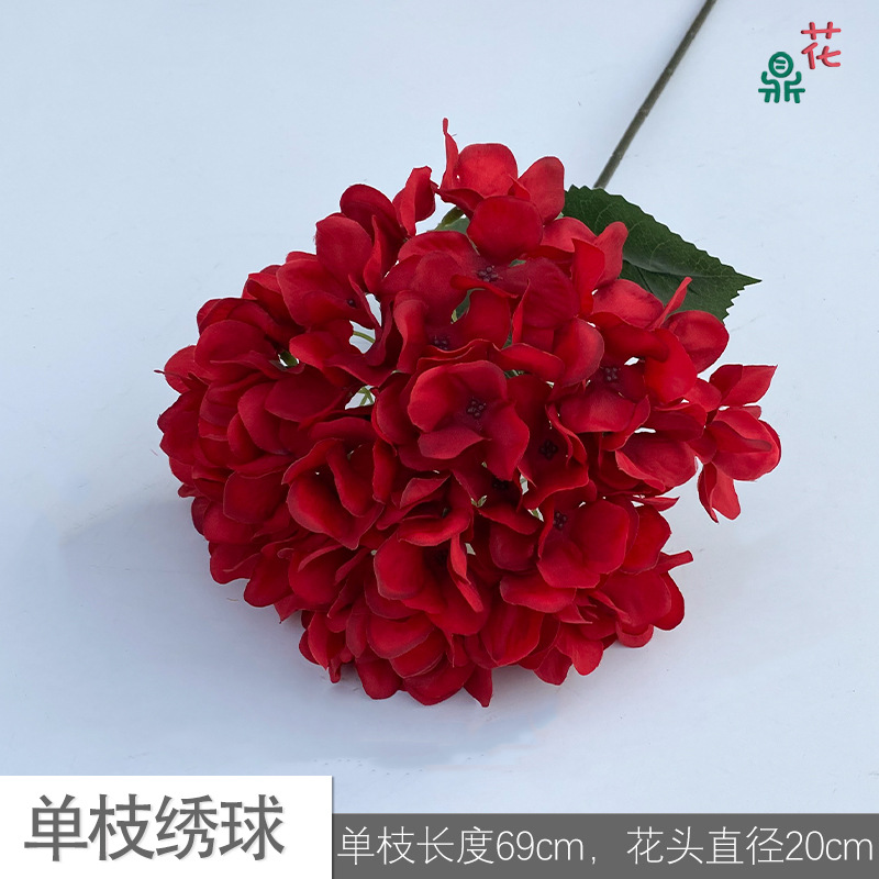 Single stroke LS red