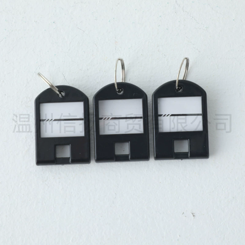 Plastic removable keychain for keys for office