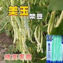 ܶNLaܽYvطNֲǷNѸ߮a