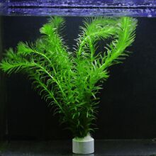 ���ˮֲ���B�~���~���쾰�~�׿�ȸ�~���~���~�~�̓���ˮ�|