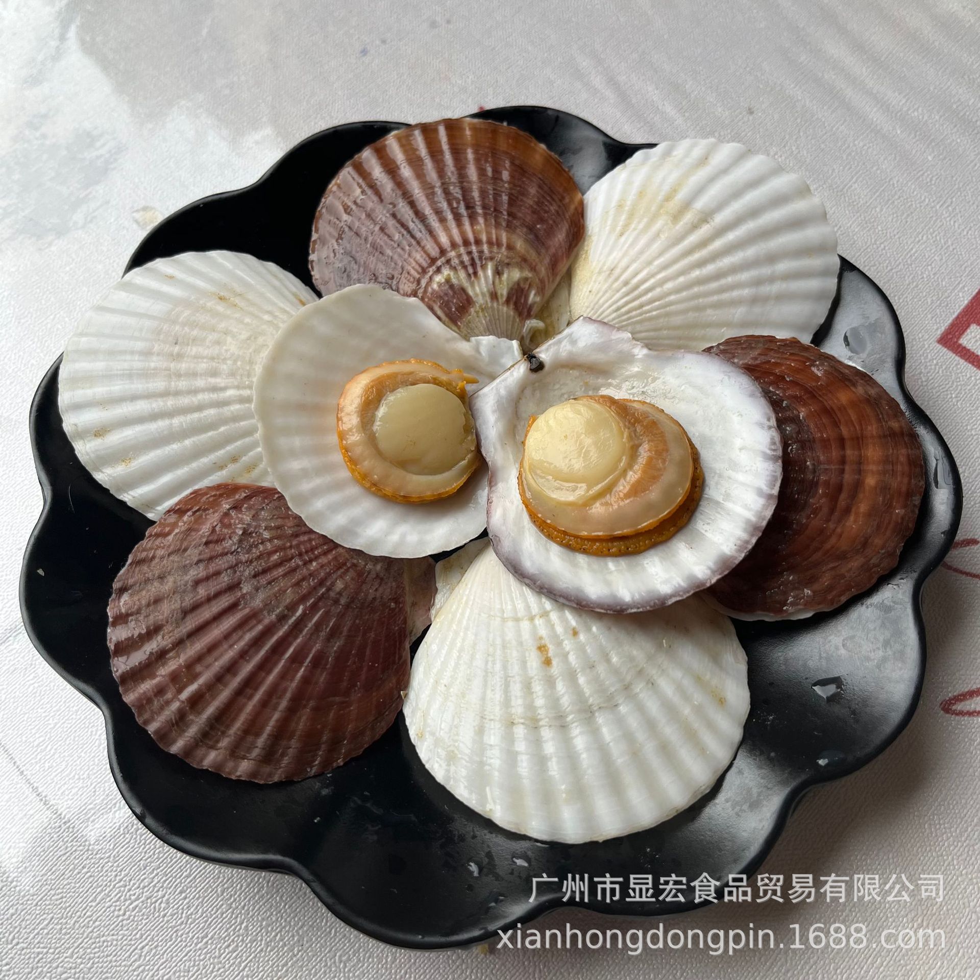 海鲜食材熟冻原汁即食小扇贝1包15只左右