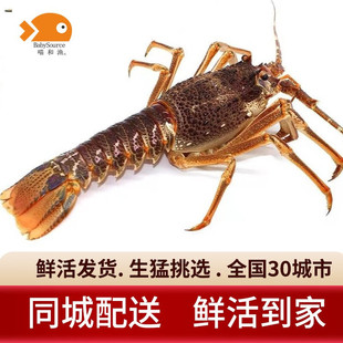 ���͝O�����r���r�� �Ϸ����r�� �����r�M�ں��rˮ�a �r� ���r 5