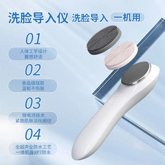 2025新型シリカゲル洗顔器微電流導入器首の目のエッセンス導入美容器
