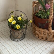 �����ֹ������F�z�@�Fˇ���@�Ĕz�����U�ջ@�ӻ��@�[���s؛��8