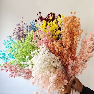 ������������˹�С���ۻ���diy�ɻ�����ins�廨����ƿins�L