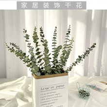 ���l�ȼ����~�ɻ����������滨 ͩ�X������~�����Ȼ�L�ɻ�