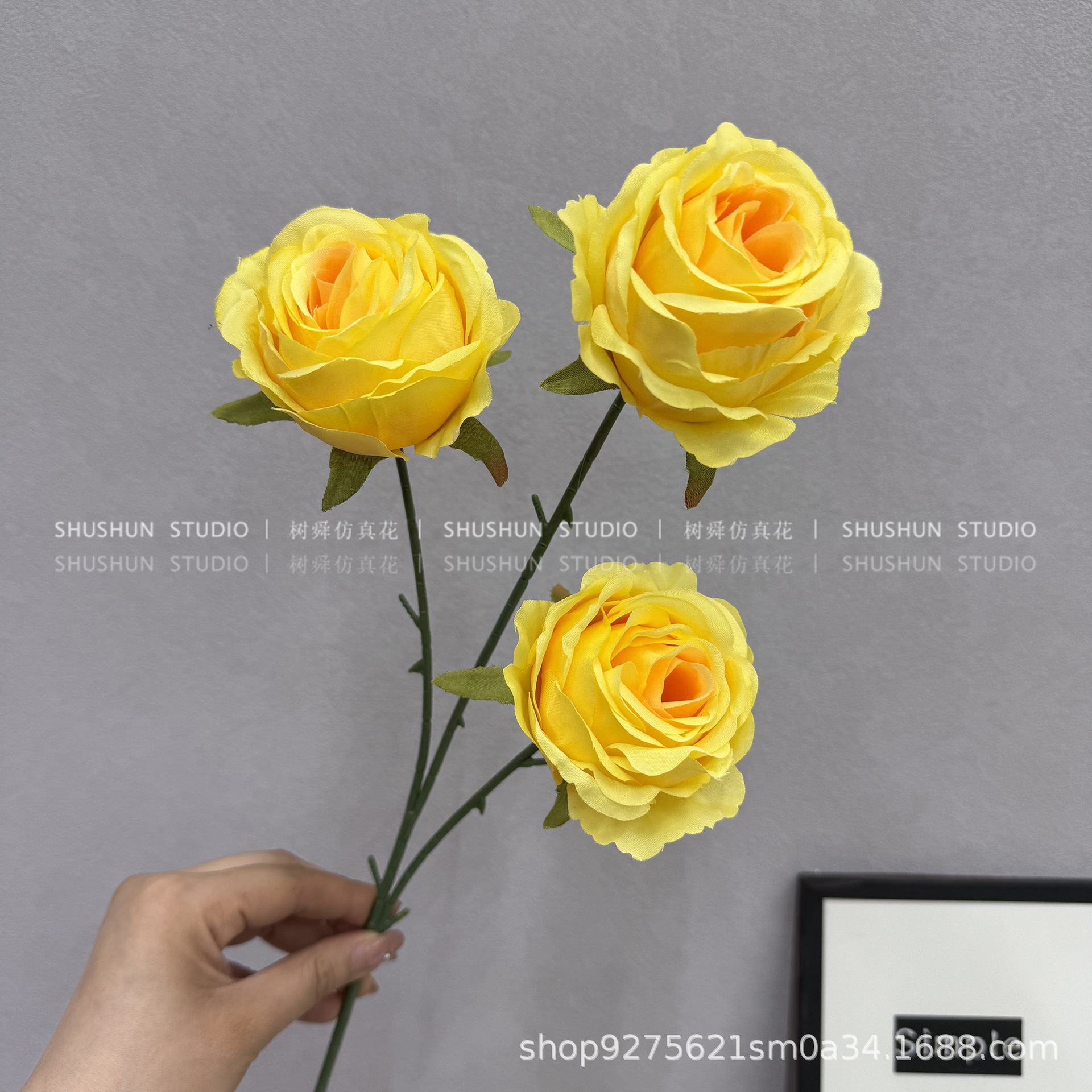 스노우 마운틴 장미 3송이