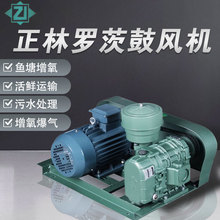 փ~~_ĹLC~\r܇Bֳˮ̎߉ؚC