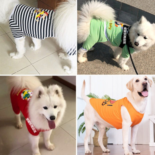 �ļ������·������_����͸���д���Ȯ�������ë���ý�ë�_ĦҮ
