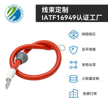 4AWG��ܛ���z늳ؾ����o�����͸ߜظ߉�200�� 600V�o�˙C��������