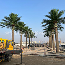 高仿真椰子树大型人造海藻树盆景户外装饰商城植物造景摆件棕榈树
