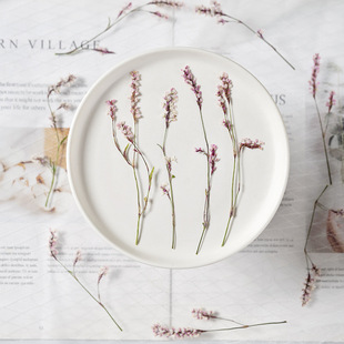 Polygonum Polygonum Flower Embossed Mobile Phone Shell Embossed Flower Painting Plant Specimen Dried Flower Baffle Bookmark Face Decoration Dried Flower