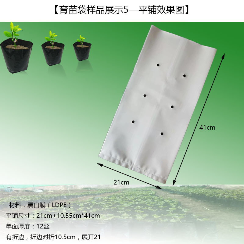 育苗袋样品展示图5 - 平铺效果图