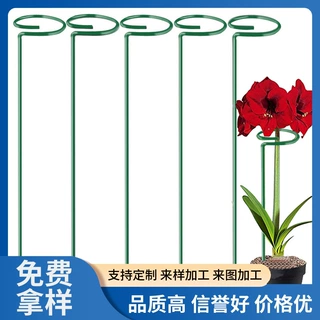 植物支撑绣球蝴蝶兰支撑花架子固定架月季爬藤防倒伏铁艺支撑花架