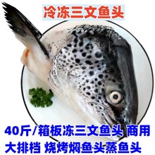 冷冻三文鱼头40斤/箱板冻三文鱼头 商用 大排档 烧烤焖鱼头蒸鱼头