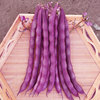 Red Four Seasons Bean Seed Purple Red Shelf Kids Seeds Spring and Autumn Sowing Nine Red Bean Corner Seeds Da Pose