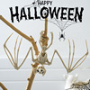 Realistic skeleton, decorations, halloween, spider, scorpion