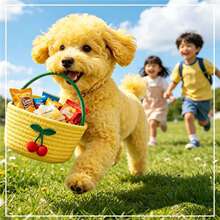 �ɐۙ�������@С��������С�@���ռ{�@Ӗ�������Ȍ�������ʳ�@