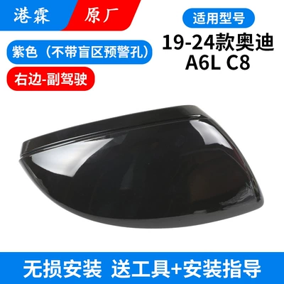 Housing Cover – Rear mirror/rearview mirror assembly - original-purple-shell-without-holes-co-pilot