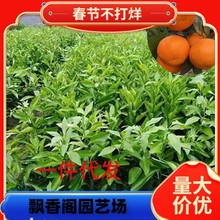 �ָ���̽�������������l�޽ӹ�������B�����Ե��ԏV�|�V������