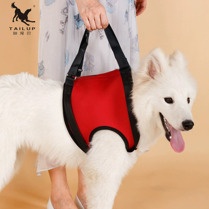 Товары для ухода за домашними животными для пожилых собак, чтобы помочь при ходьбе с высокоэластичным поясом для защиты суставов задних конечностей