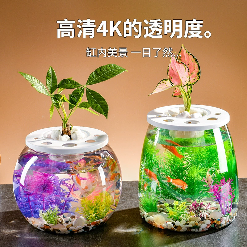 Гостиная аквариум пластиковый прозрачный настольный экологический цилиндр микро-ландшафтный дизайн черепаха аквариум офисный украшения HD аквариум