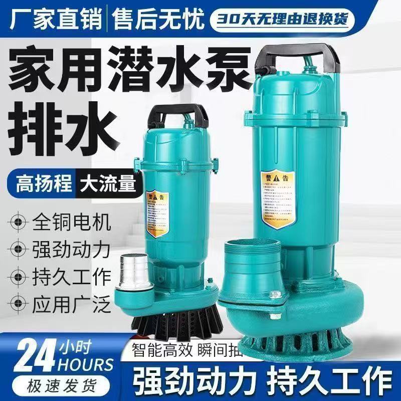 水泵抽水家用上海人民扬程潜水泵220农用灌溉流量抽水泵清水泵