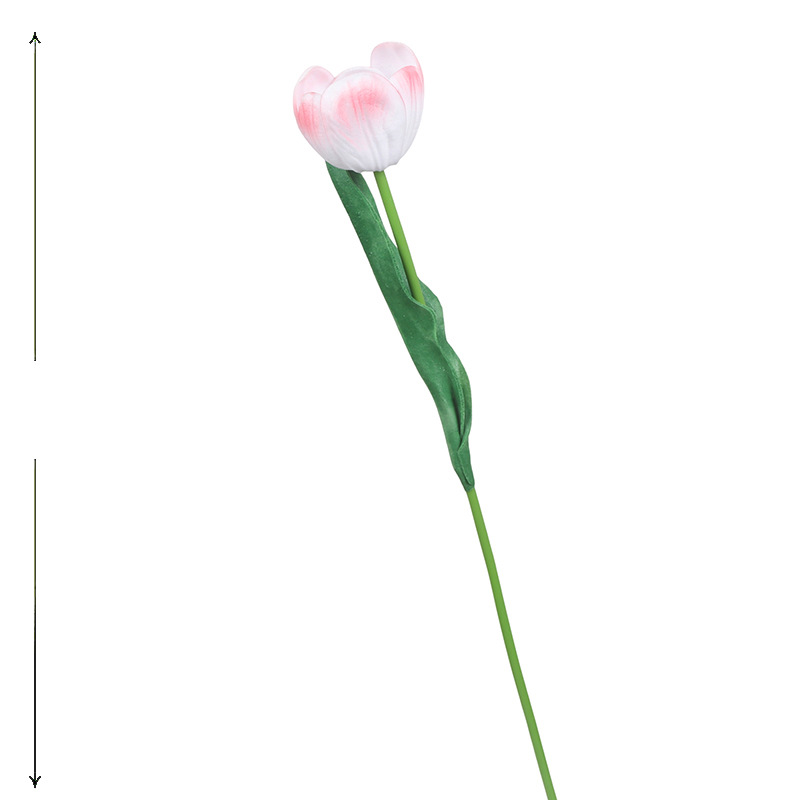 화이트 핑크