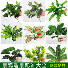 ����Gֲֲ��b�С�ݰ��������~�̈����^�G���쾰�ٻ��廨���