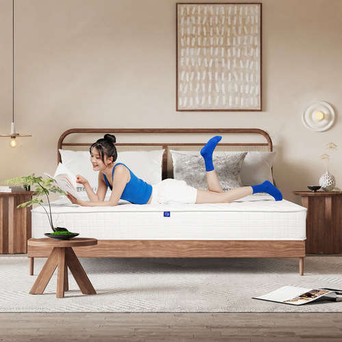 Spring mattress double mattress adult hard independent spring latex 3E coconut palm mattress 1.5m1.8m S1