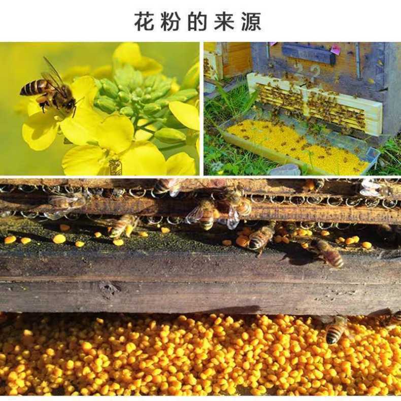 微信图片_20210921140141油菜花粉