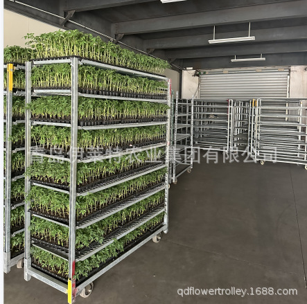 工厂批发供应多层，可拆卸周转车， 不生锈育苗花卉车， 催芽台车