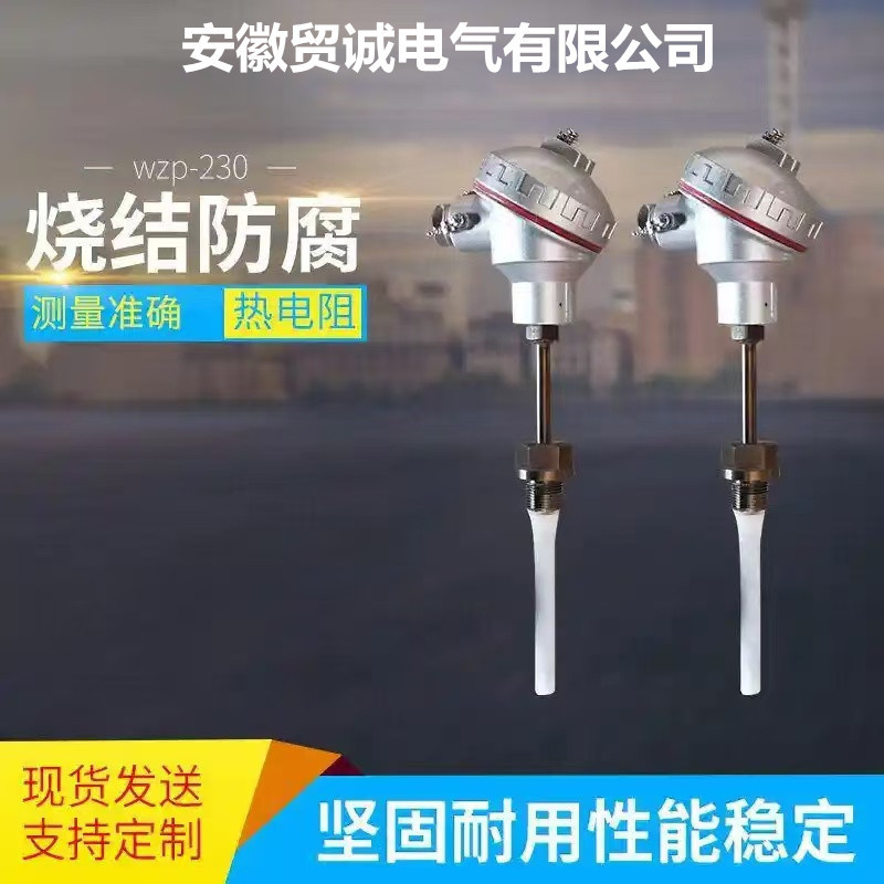 皖贸诚 WZP2-430 WZP2-430F防腐热电阻 PT100 0-150℃