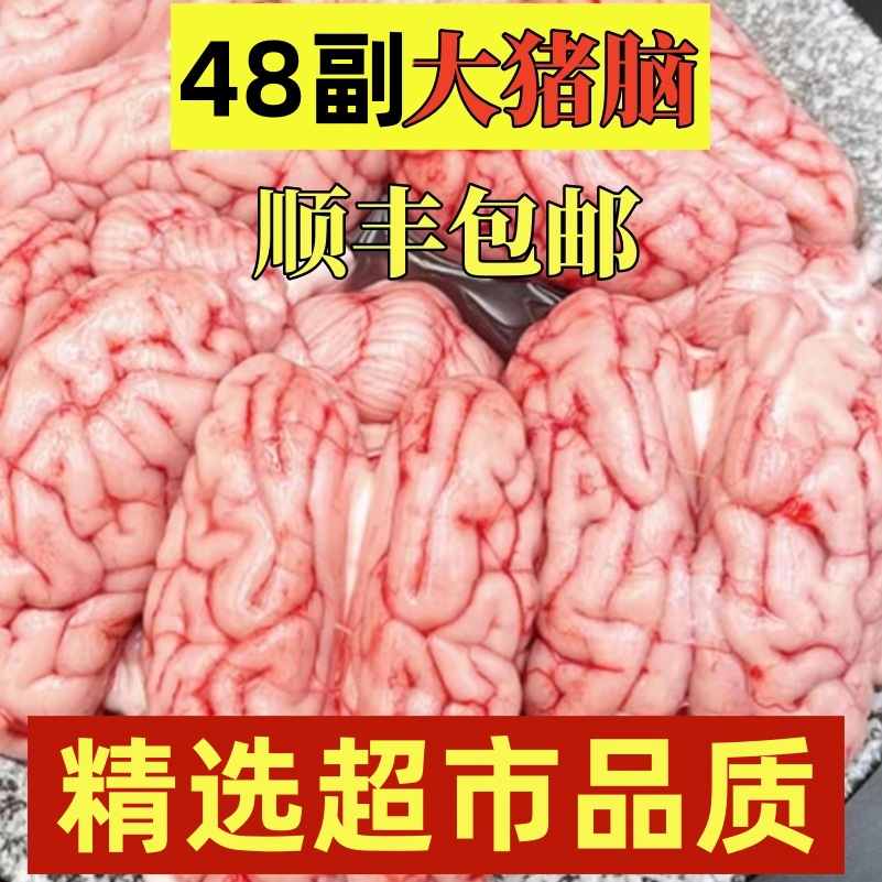 【顺丰】新鲜猪脑花猪脑猪脑子髓心批发猪髓商用火锅食材